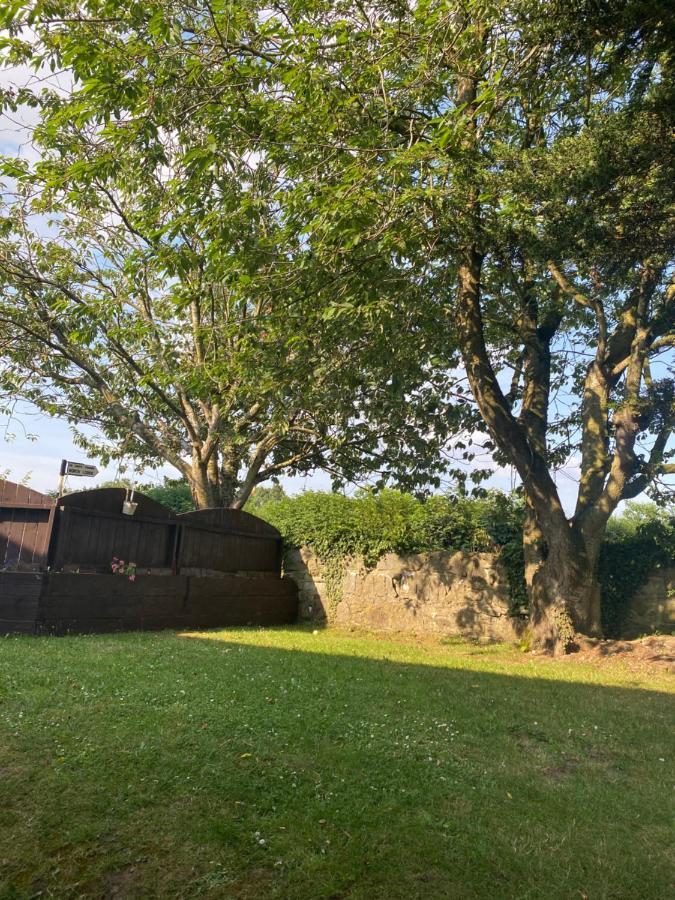 North Lodge Self Contained Guest AccommodationsKilkea エクステリア 写真