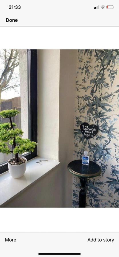 North Lodge Self Contained Guest AccommodationsKilkea エクステリア 写真