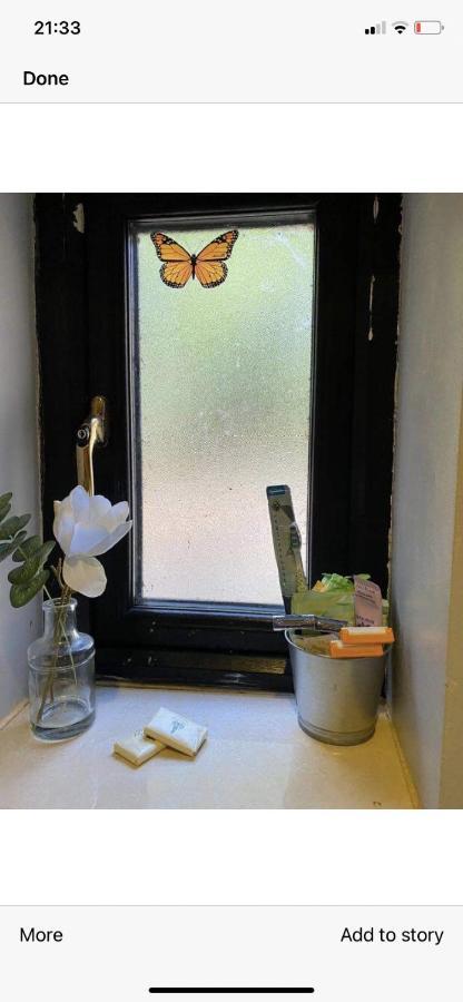 North Lodge Self Contained Guest AccommodationsKilkea エクステリア 写真