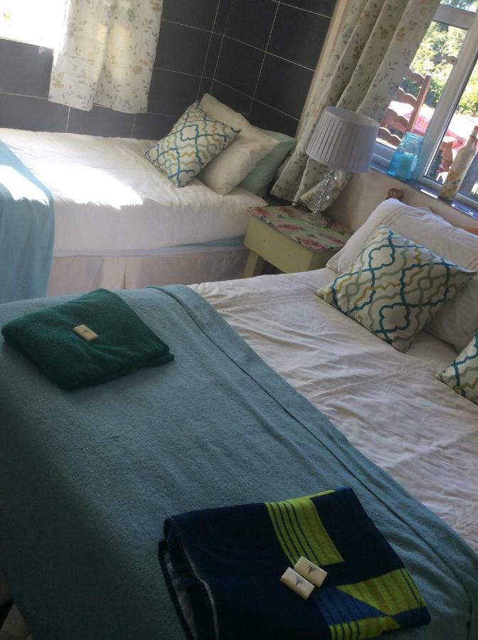 North Lodge Self Contained Guest AccommodationsKilkea エクステリア 写真